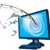The Anatomy Of Phishing The Anatomy Of Phishing