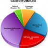 CHALLENGES FACED BY ORGANIZATIONS IN PREVENTING DATA LOSS 