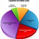 Data Loss Data Loss