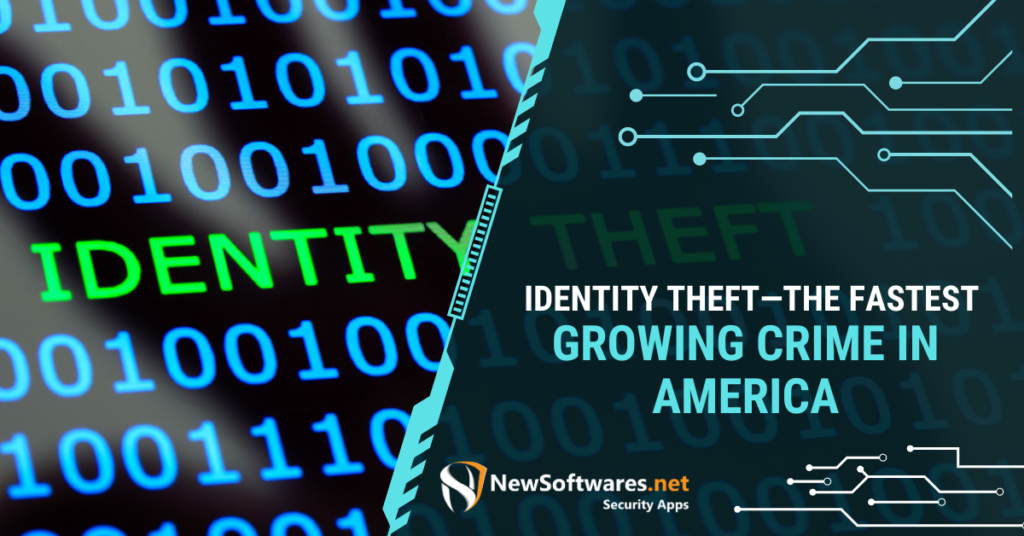 Identity Theft—The Fastest Growing Crime in America
