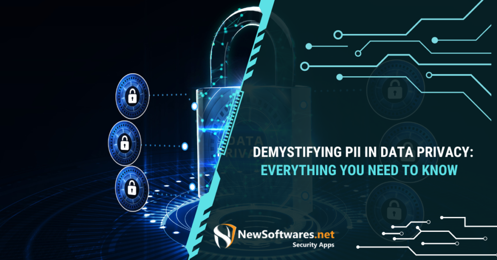 Demystifying PII in Data Privacy