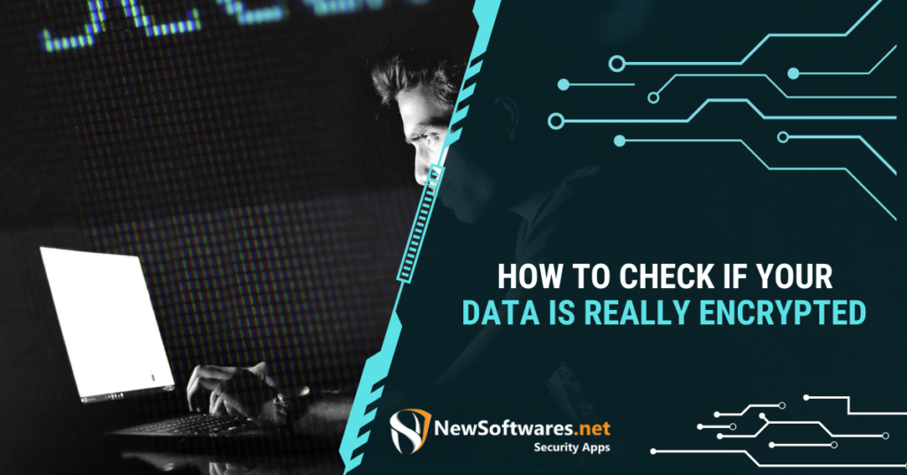 Check if Your Data is Really Encrypted