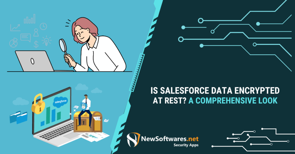 Is Salesforce Data Encrypted at Rest