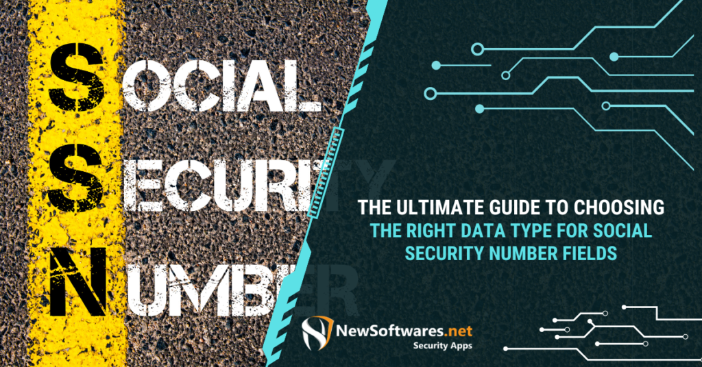 Right Data Type For Social Security Number Fields