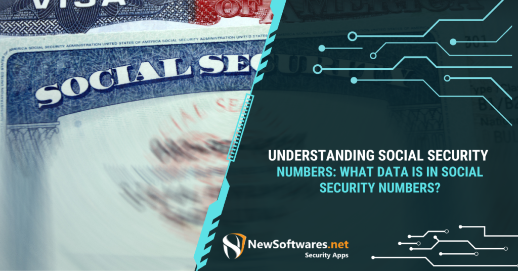 What Data Is In Social Security Numbers
