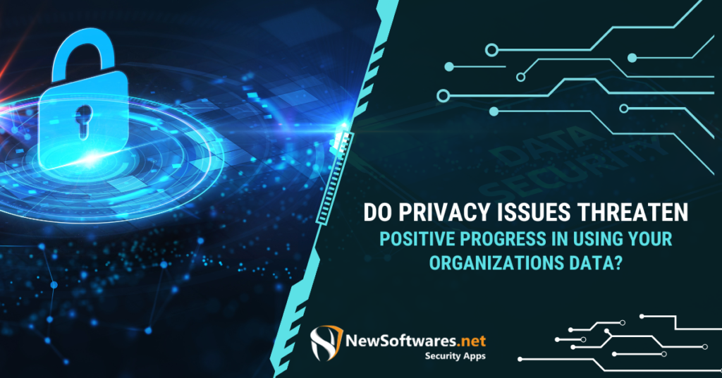 Do Privacy Issues Threaten Positive Progress in Using your Organizations Data