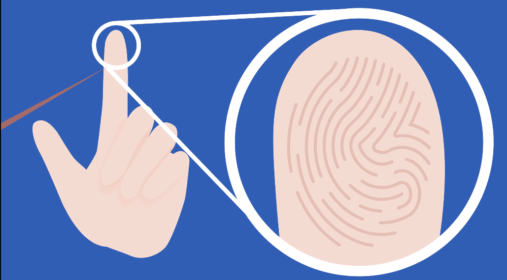 Biometric Security Beyond Passcodes The Rise of Biometric Authentication