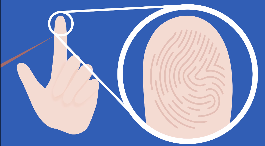 The Rise of Biometric Authentication