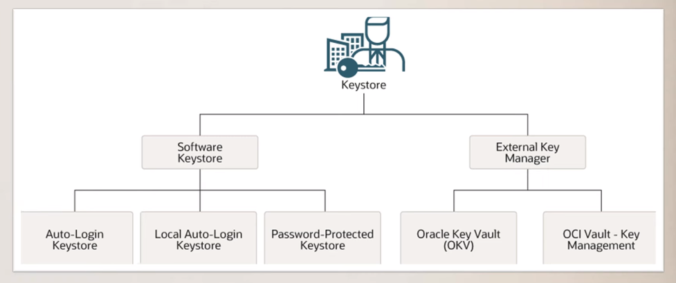 Are Oracle databases encrypted