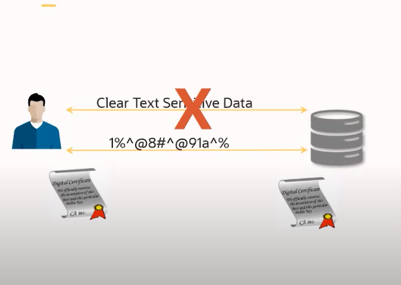 secure Oracle database