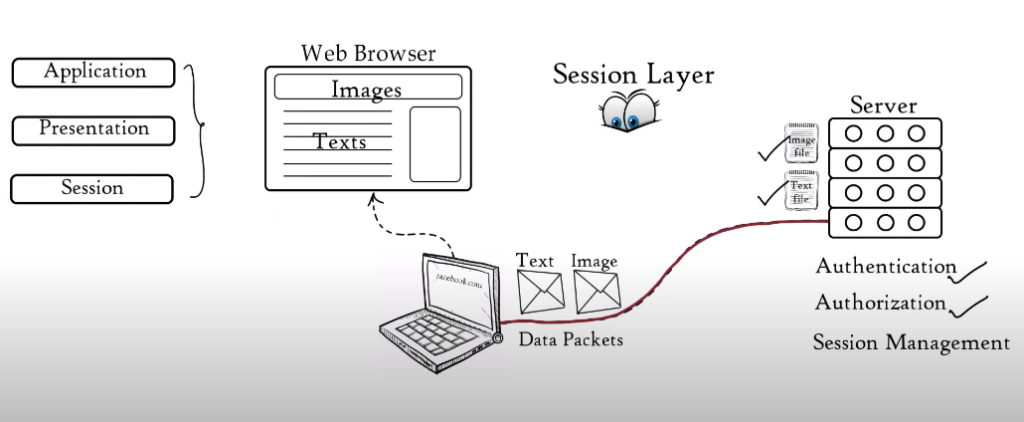 A Comprehensive Guide To Understanding Which OSI Layer Encrypts Data