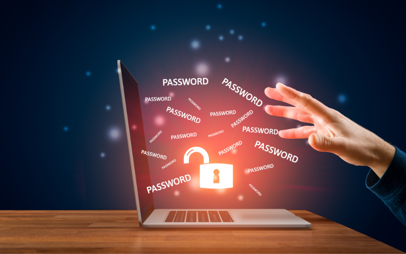 my passwords on my computer Data safeguard against security