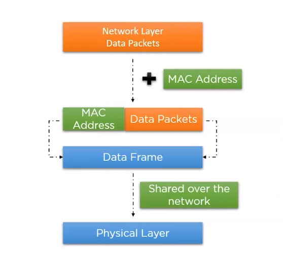 Definition of the Data Link Layer