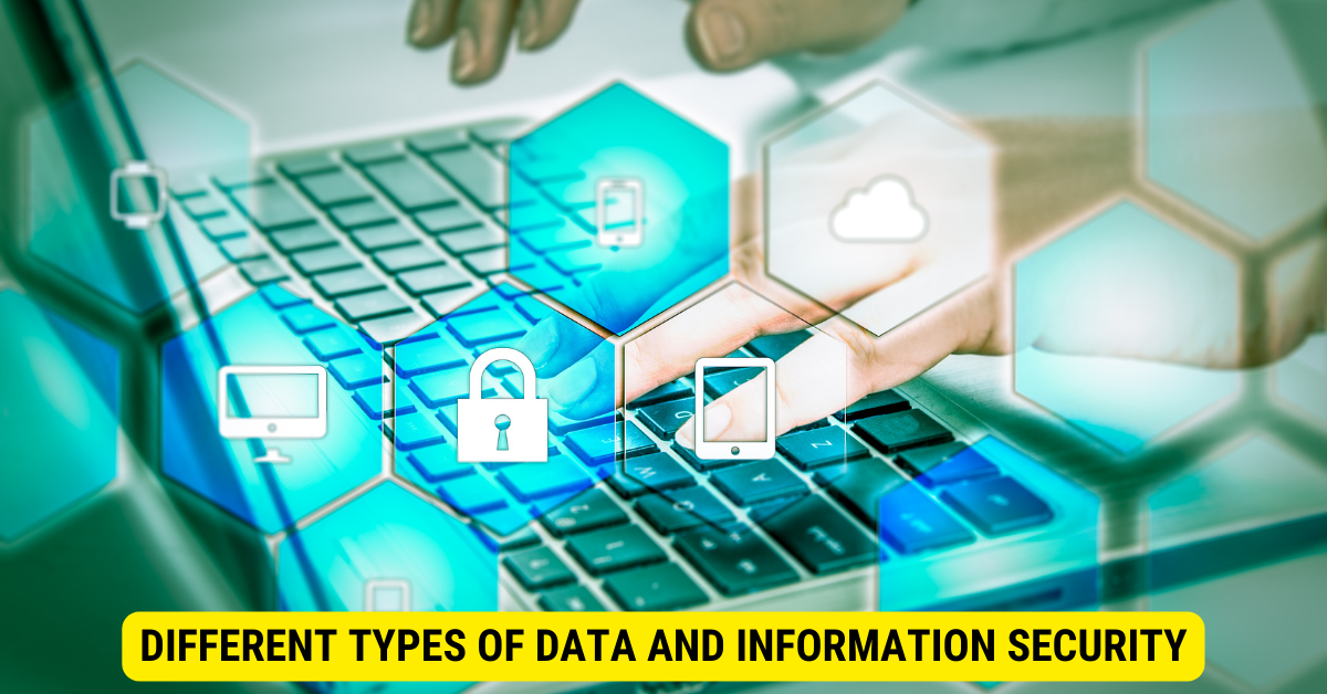 Information Security Roles and Responsibilities