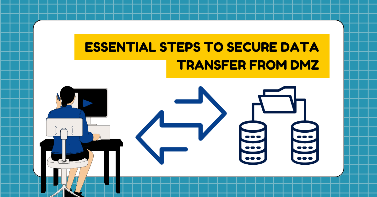 How networks are secured using DMZ?