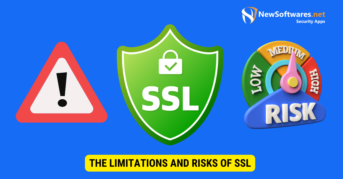 The Limitations and Risks of SSL