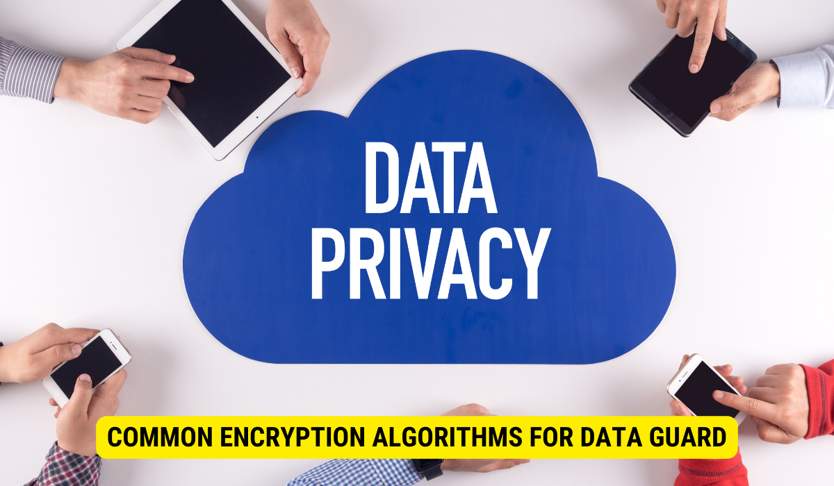 Which encryption is the most common method of data security?