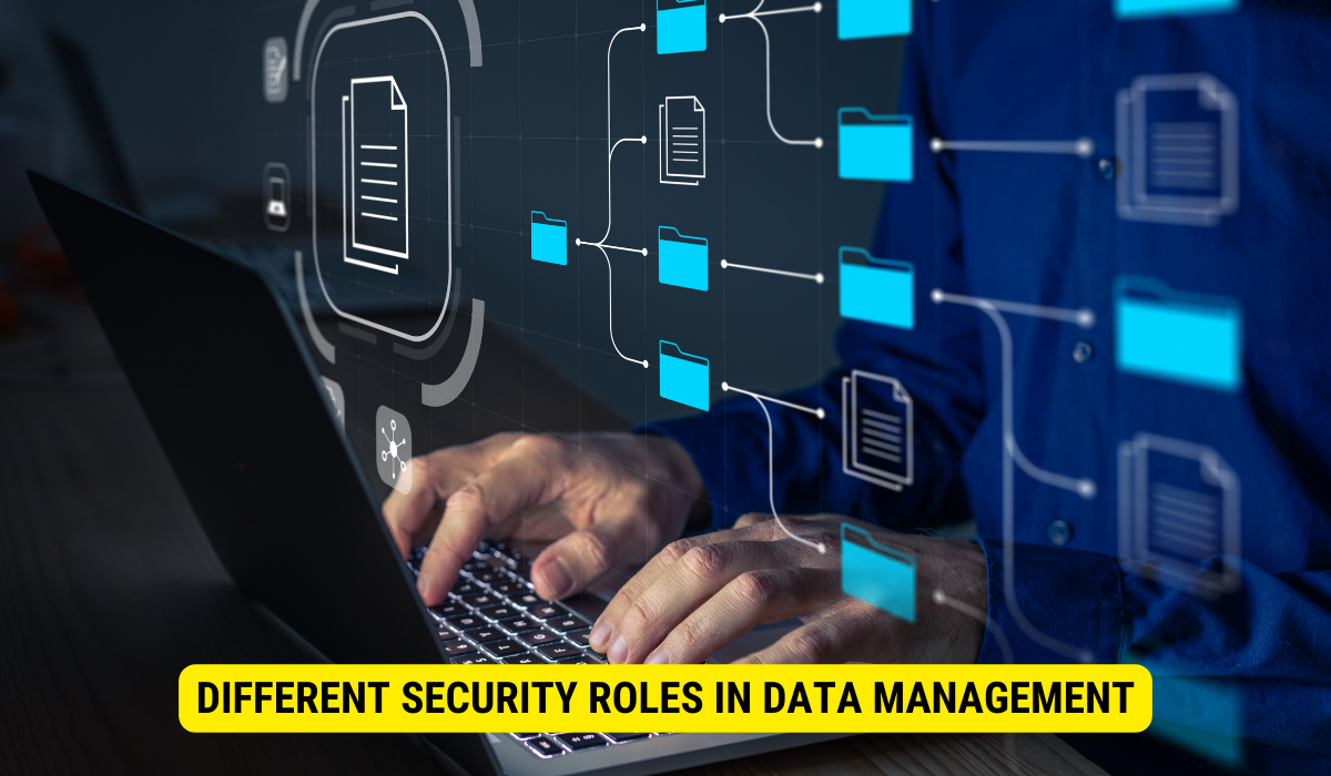 Data Roles and Responsibilities - IT Security