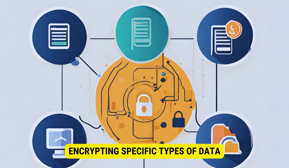 What type of data can be encrypted?