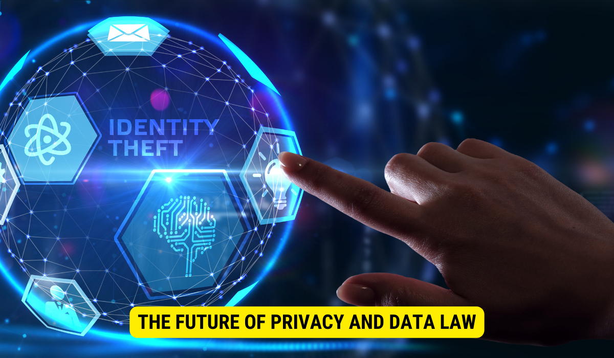 What is the purpose of data privacy laws?