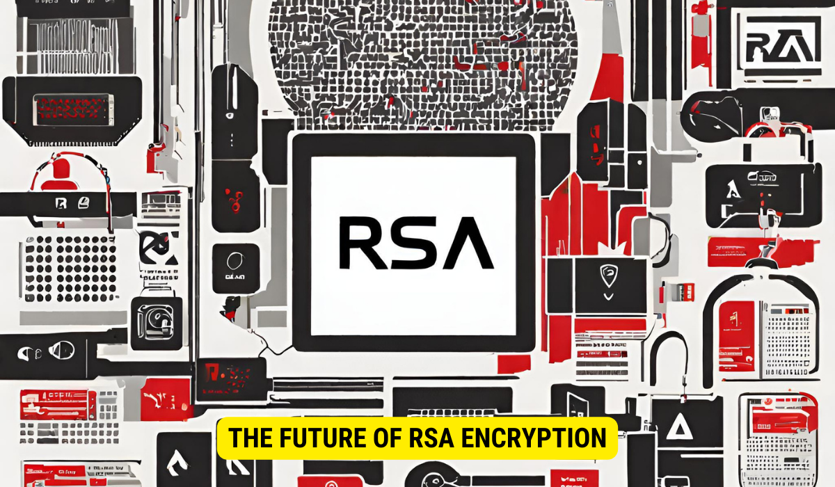 RSA: Overview, Analysis and Implications for the Future