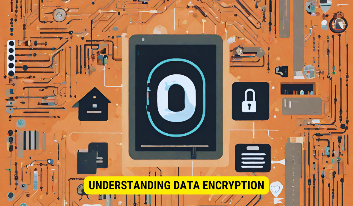 What are the 2 types of data encryption?