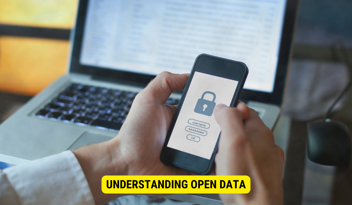 What are the principles of open data?