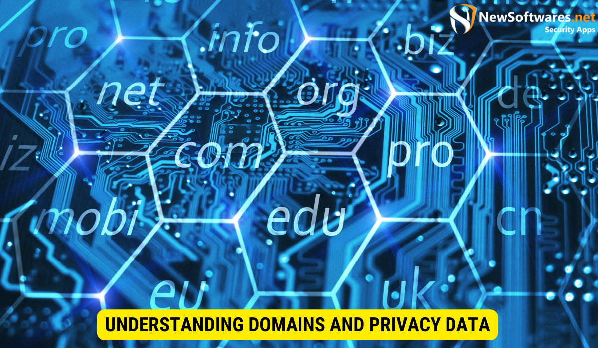 What is data privacy domain?