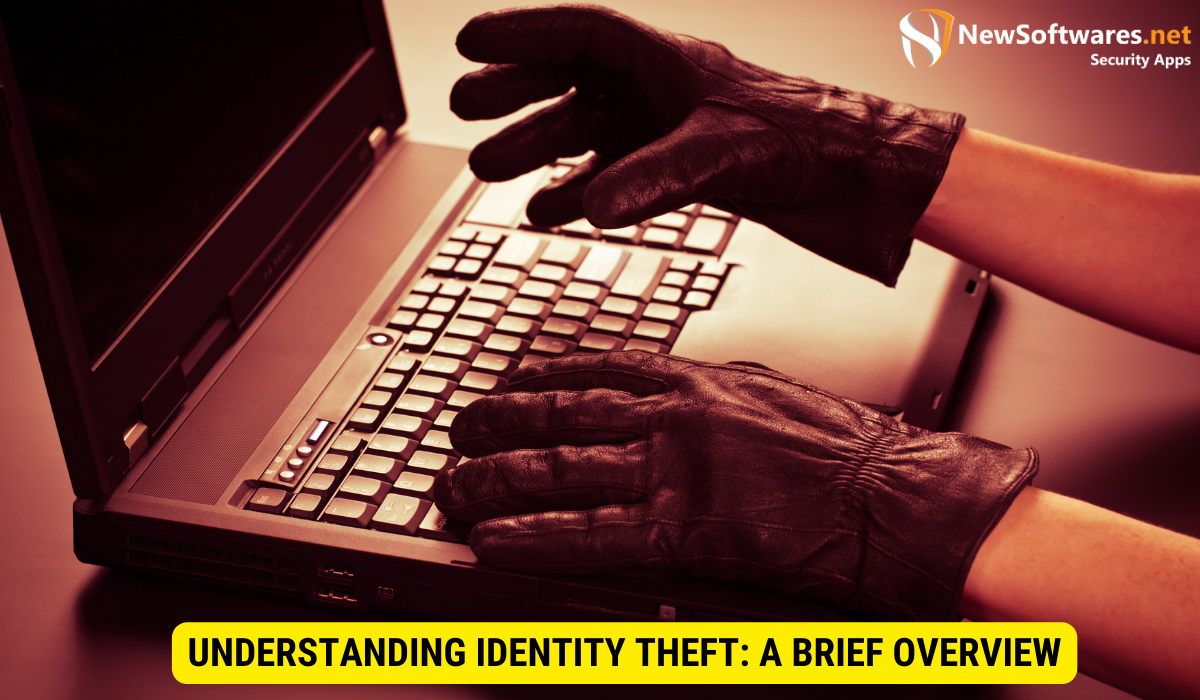 What is the basic identity theft? 