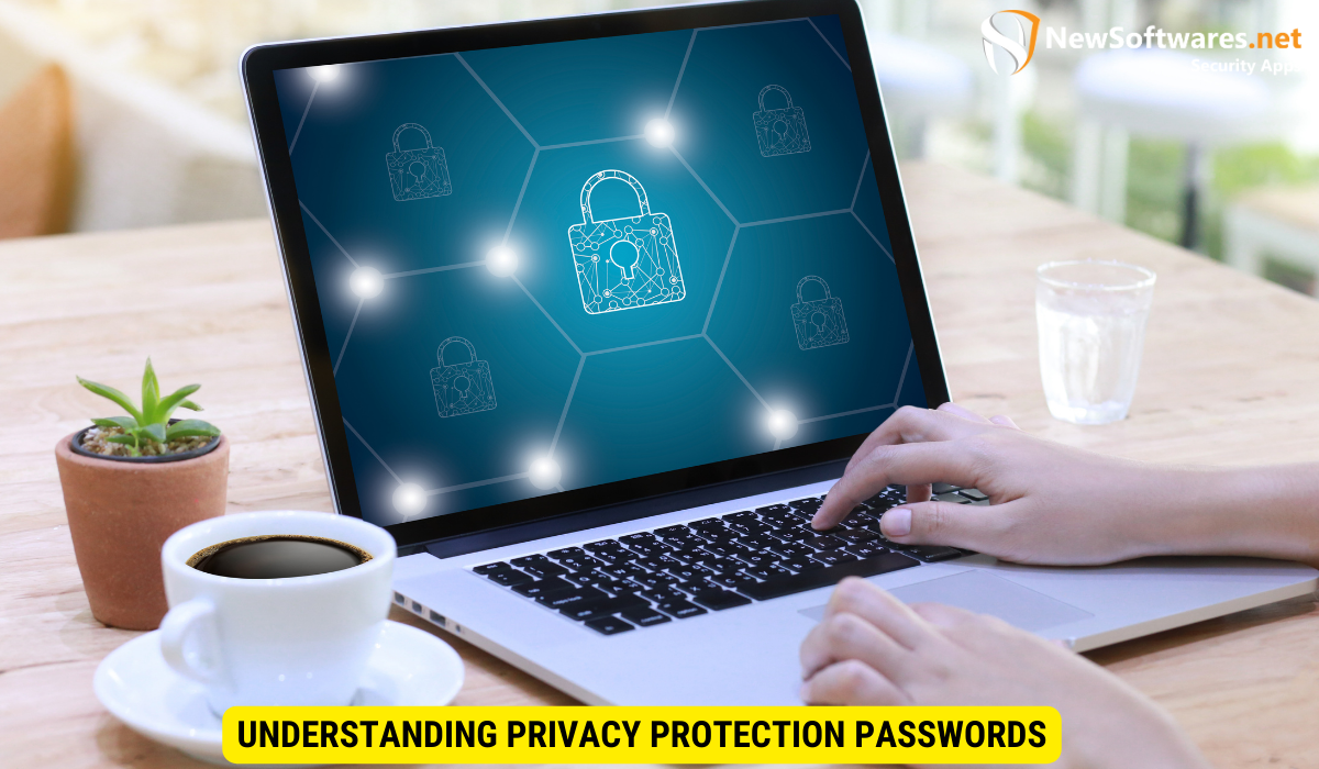 Understanding Privacy Protection Passwords