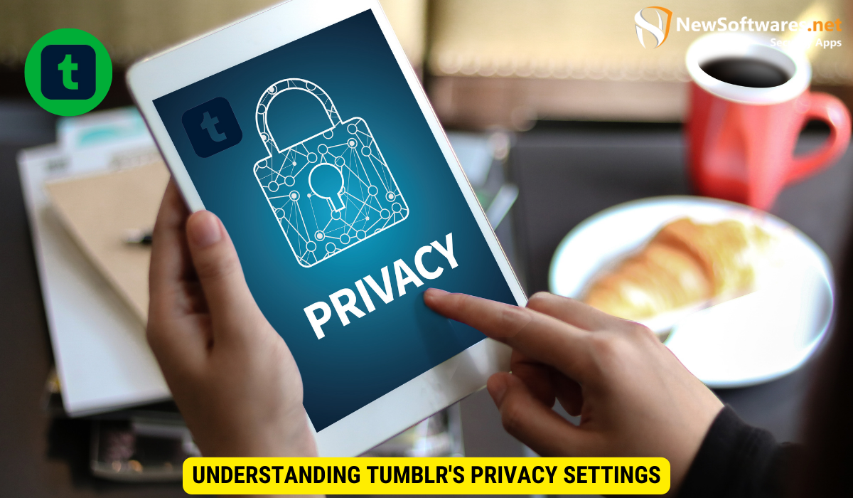 Understanding Tumblr's Privacy Settings