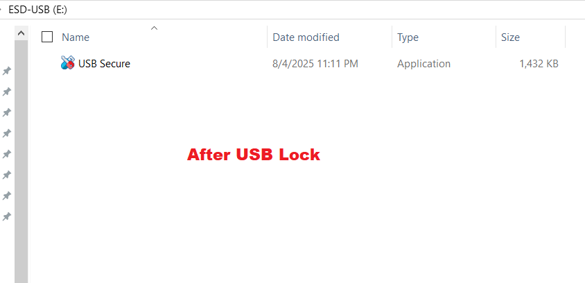 Windows File Explorer view of a USB drive after being locked with USB Secure, showing only the "USB Secure" application file and no other previously visible files or folders.