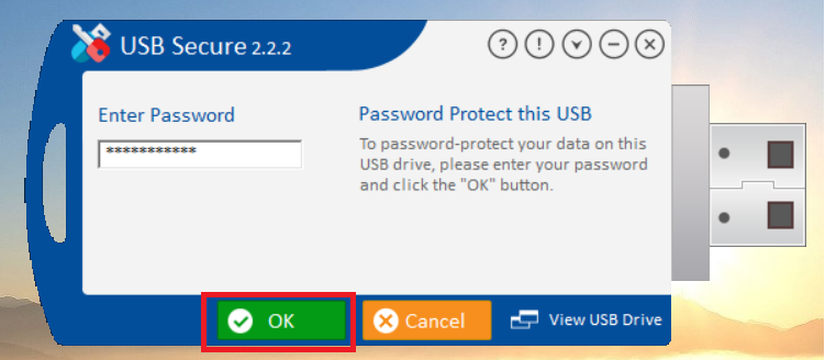 Click ok after entering Password to Login USB Secure
