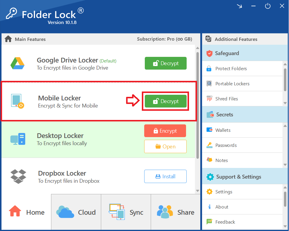 Screenshot of Decrypt option Mobile Locker