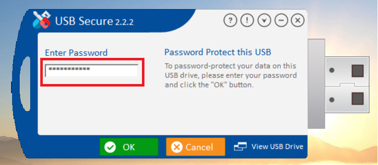 Enter Password to Login USB Secure