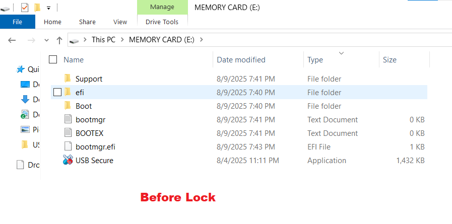 Memory Card portable USB Secure 2