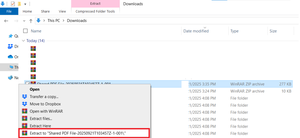 Extract Shared PDF File