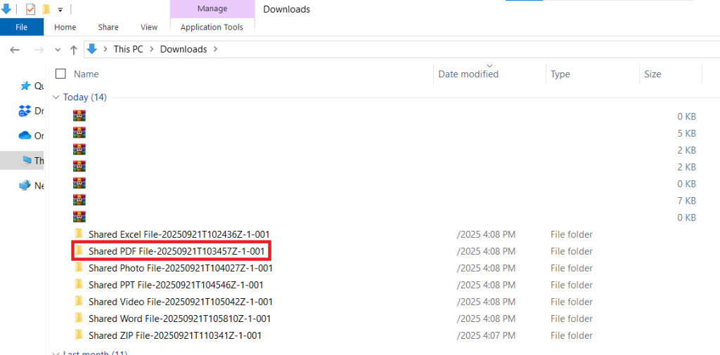 Extracted Shared PDF File
