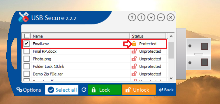 Locked Excel File in USB Secure