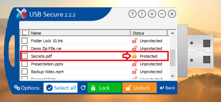 Locked PDF File in USB Secure