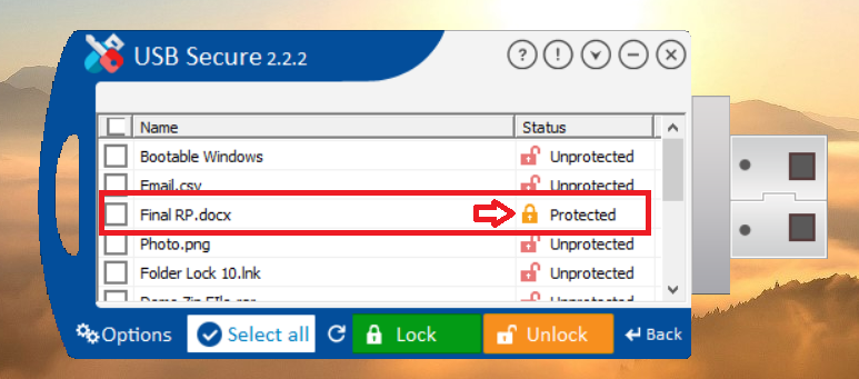 Locked Word Document in USB Secure