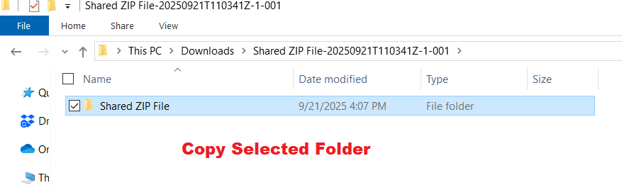 Copy Shared ZIP File Folder