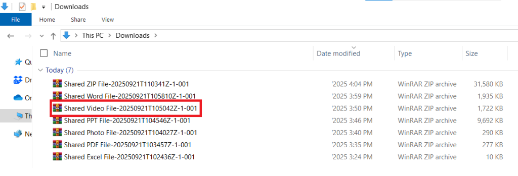 Downloaded Shared Video File