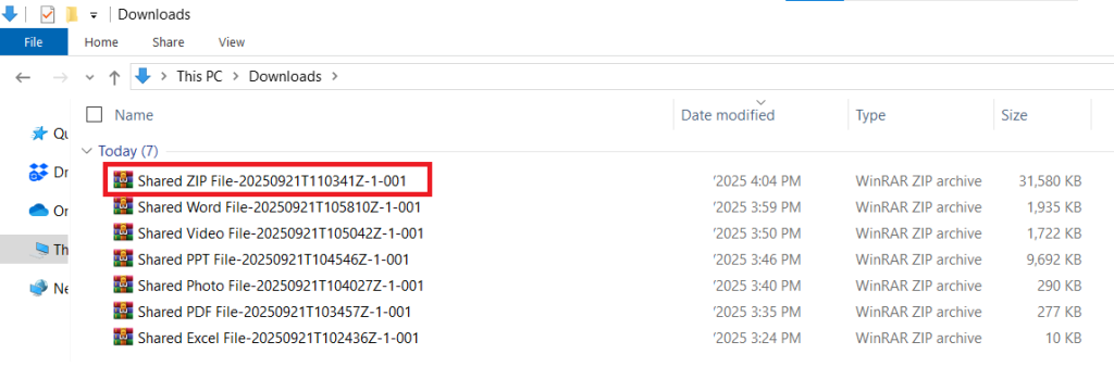 Downloaded Shared ZIP File