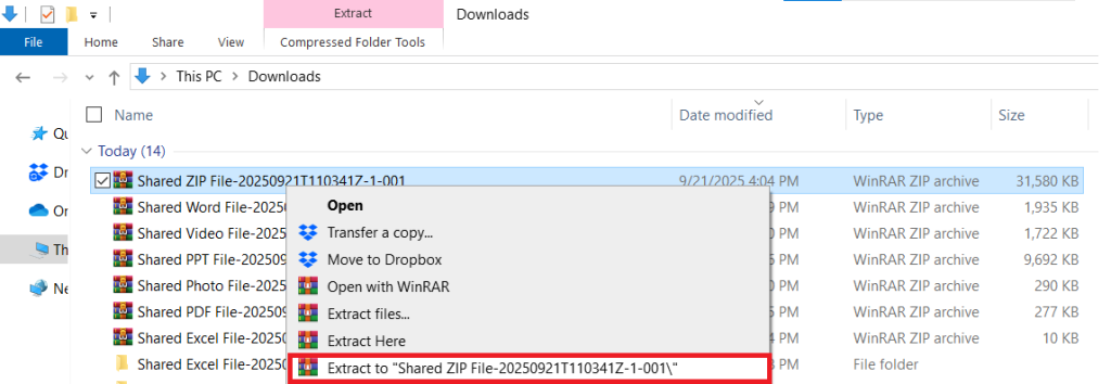 Extract Shared ZIP File