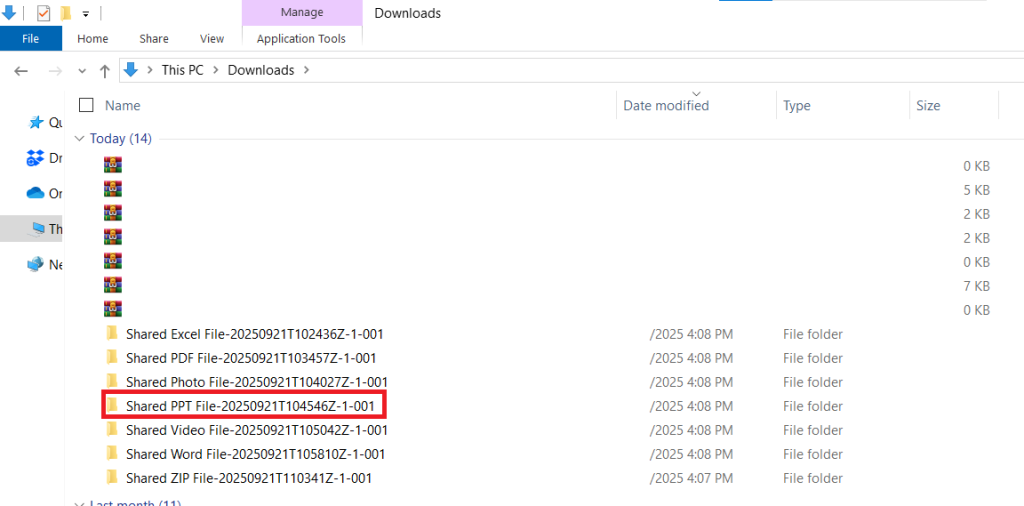 Extracted Shared PPT File