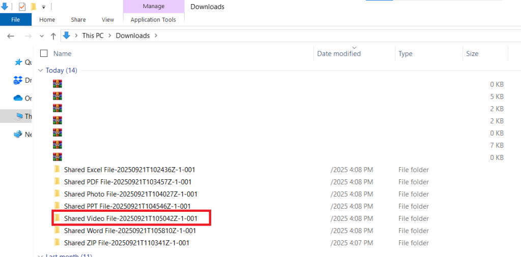 Extracted Shared Video File