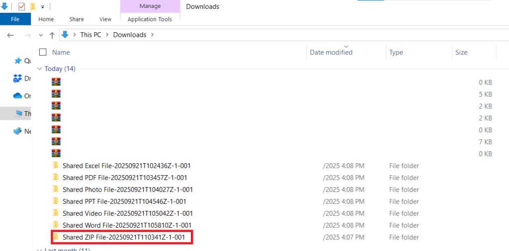 Extracted Shared ZIP File