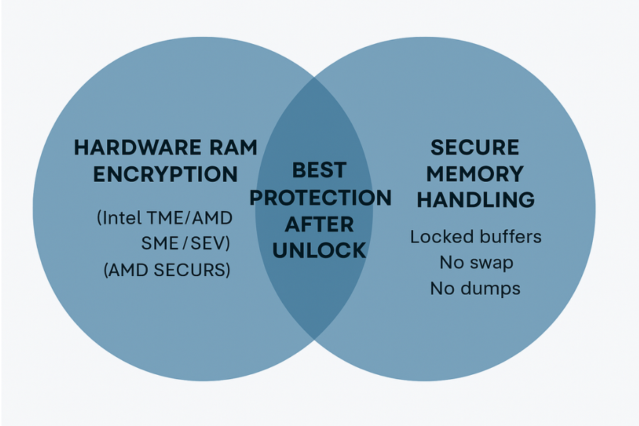 RAM Encryption vs Secure Memory