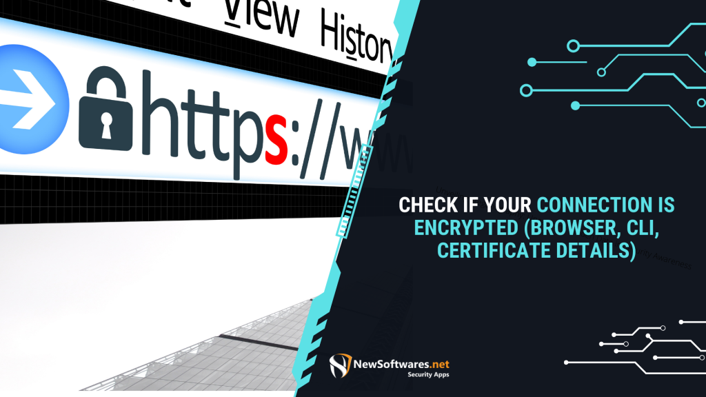 Check If Your Connection Is Encrypted